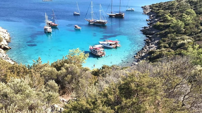 Bodrum: Boat Tour for Mein Schiff Cruise Passengers - Who Will Love This Tour?