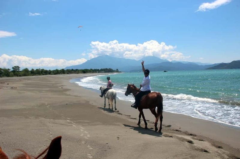 Bodrum: Horseback Riding Experience with Hotel Transfer - The Ride: Natures Best Views
