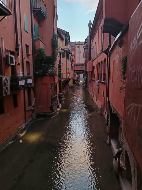 Bologna by night: Food, wine, spritz and fun - The Social Atmosphere and Unique Insights