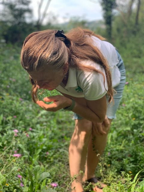 Bologna Forlì: foraging, looking for wild edible herbs - Who Will Love This Experience?