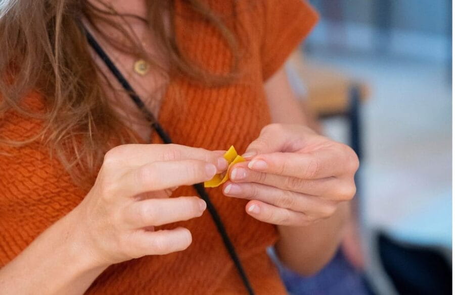 Bologna Grand Tour Italy: sfoglini for a day - Deep Dive: What to Expect During the Workshop