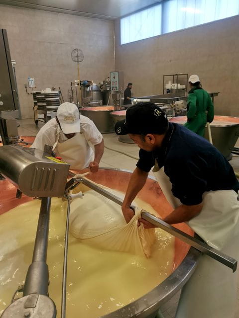 Bologna: Parmigiano, Wine and Balsamic Vinegar experience - Parmigiano Reggiano: Seeing the King of Cheeses Being Born
