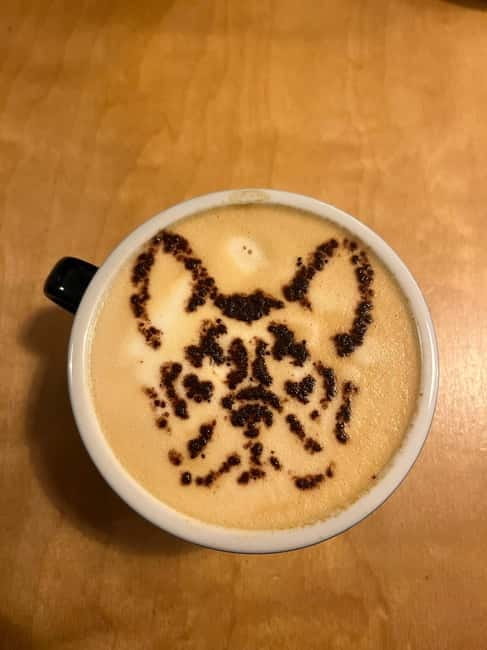 Bordeaux: Early Bird Small-Group Tour with Coffee & Pastry - Starting Point: A Photo-Worthy Entrance to Bordeaux