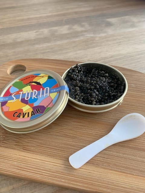 Bordeaux: FRENCH EXCELLENCE Fine Wines & Delicacies pairing - Price and Logistics: Does It Deliver Value?