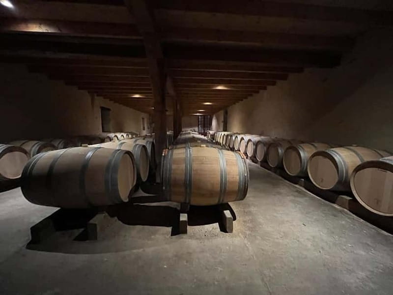 Bordeaux: Graves, Pessac-Léognan, and Sauternes Vineyards - Vineyard Visits: What You’ll See and Learn