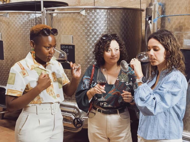 Bordeaux: Half-Day Private Natural Wine Tour & Tasting - The Experience in Detail: What to Expect from Start to Finish