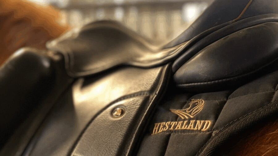 Borgarnes: Horseback Riding Tour with Prep Lesson - The Scenic Trail Ride: Natural Beauty and Calm