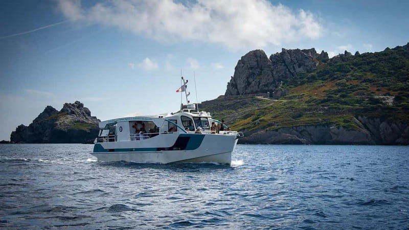 Bormes-les-Mimosas: Hybrid boat trip to Porquerolles Island - Practical considerations and value