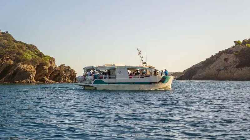 Bormes-les-Mimosas: Hybrid boat trip to Port-Cros Island - What to Expect on the Water