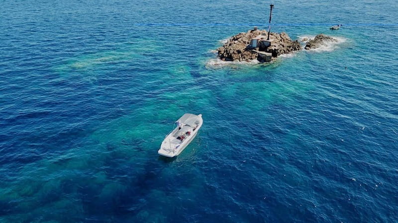 Bormes-les-Mimosas: Introductory diving session - Why This Diving Session Stands Out