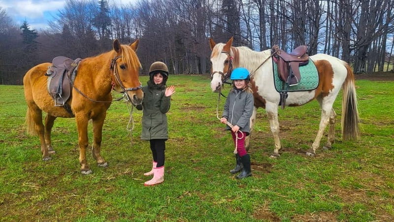 Borovets: Horse Riding Experience - The Journey Begins: From Borovets to the Ranch