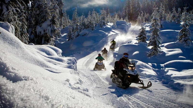 Borovets: Snowmobile Adventure - Scenic Drive Through Borovets Forest