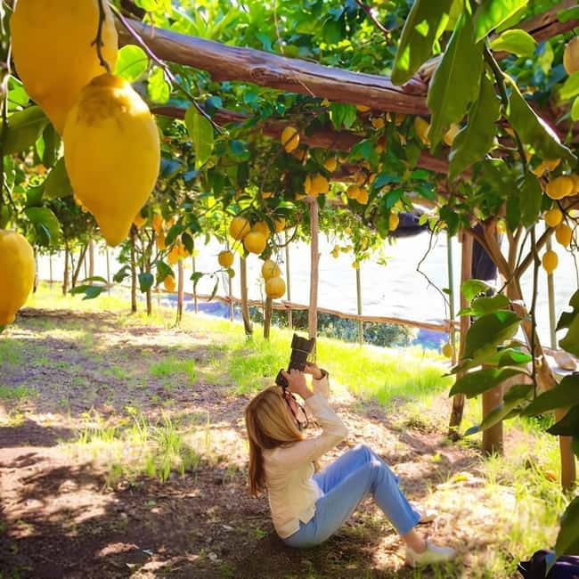 Botanic naturalistic Lemon tour & tasting - The Scenic Journey and Educational Highlights