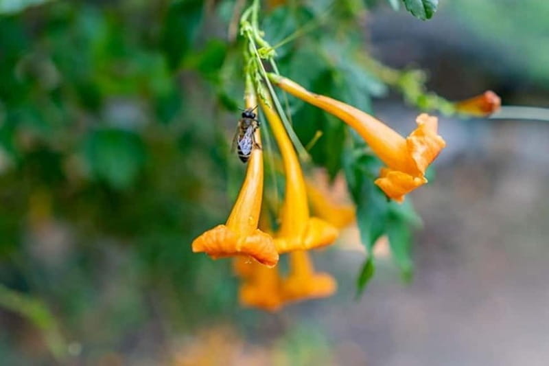 Botanical Garden & Aromas of the Wild Nature Adventures - Logistics and Practical Tips