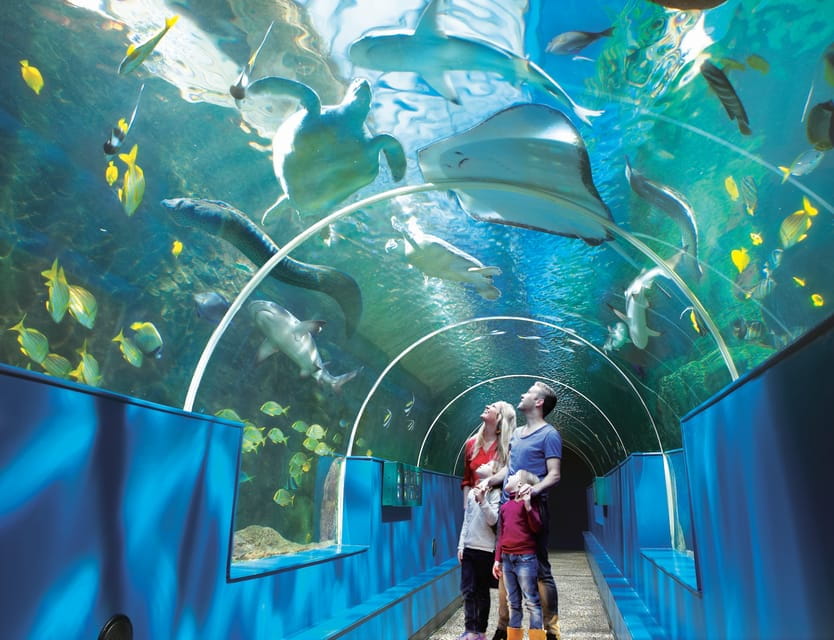 Bournemouth Oceanarium Ticket - Who Should Visit?