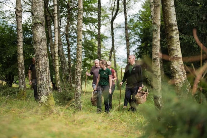 Bovec: Mushroom Picking and Culinary Session - Who This Tour Is Perfect For