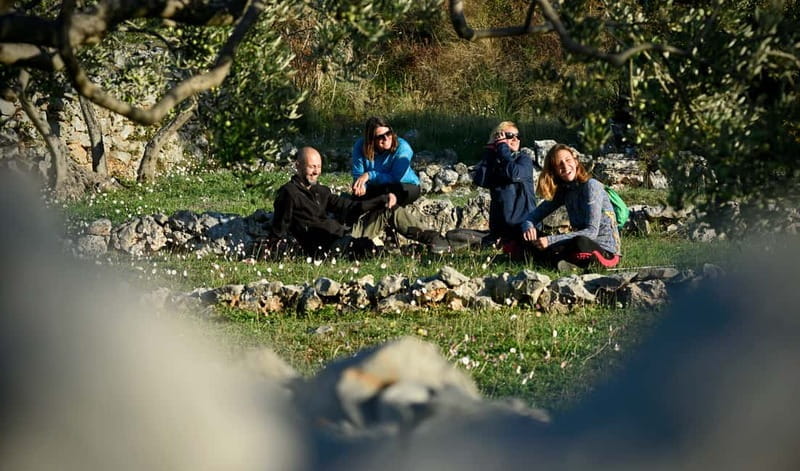 Bra island: Hiking Vidova gora krip Museum of olive oil - Exploring the Trail and Highlights