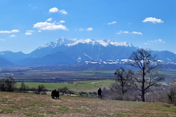 Bran Castle & Bear Sanctuary from Brasov - Optional Peles Castle - FAQs about the Bran Castle & Bear Sanctuary Tour
