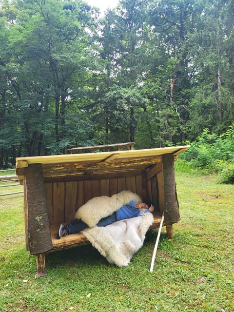 Bran - One Castle, Two Stories: Dracula and Queen Mary! - Price and Value