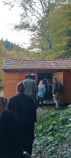 Braov: 4-Hour Bear Watching Tour in Carpathian Mountains - The Observation Hide and Wildlife Watching