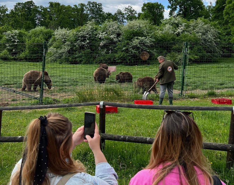 Brasov: Bran Castle, Bear Sanctuary, Rasnov (Peles Optional) - Price and Value Analysis