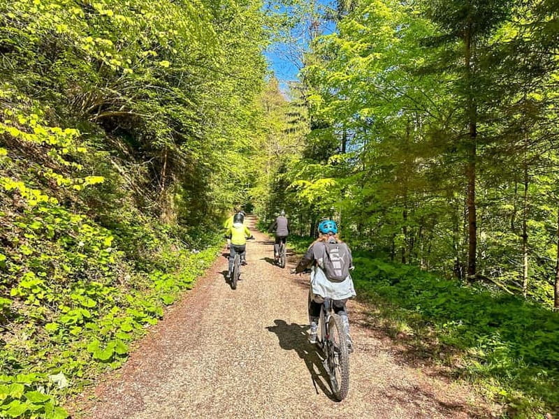 Brasov: eBike Tour to Poiana Brasov (Old Town & Forest) - Final Thoughts