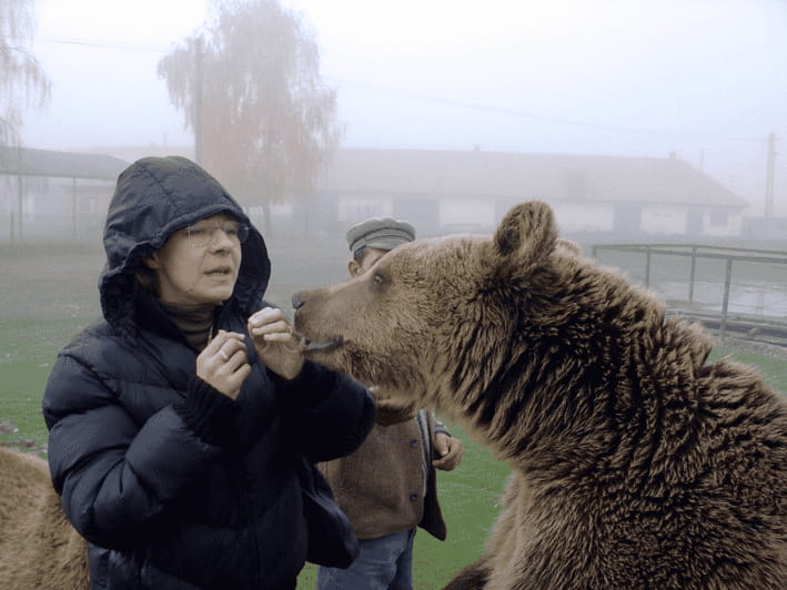 Brasov: Libearty Bear Sanctuary - Who Should Consider This Tour