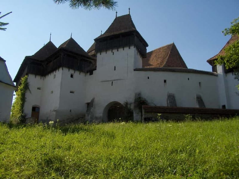 Brasov: Saxon Fortified Churches Day Tour with Guide - Who Should Consider This Tour?