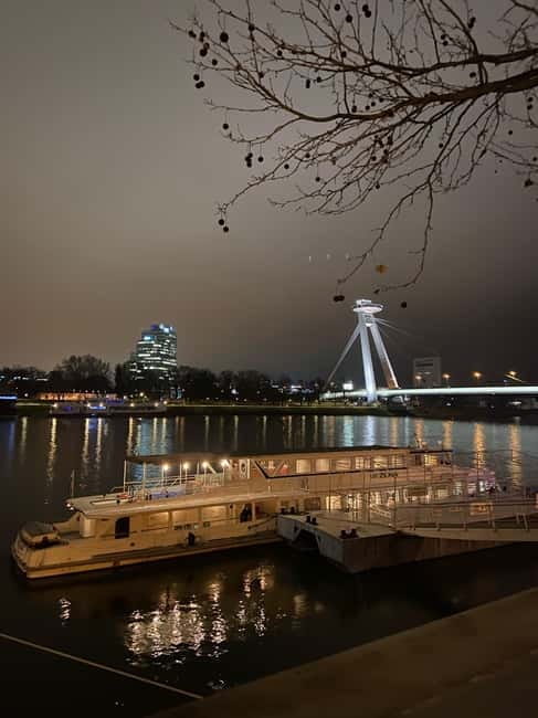 Bratislava: Panorama Cruise on the Danube River - Who will love this cruise?