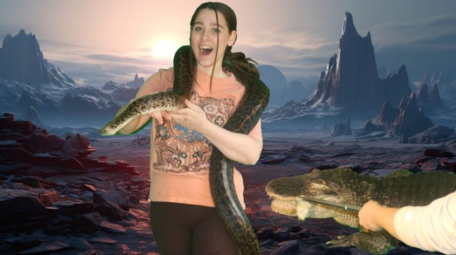 Bristol: Big Snake Experience for Two People - FAQ