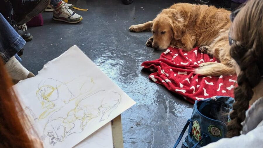 Bristol: Dog Life Drawing led by local Artist Cai Burton - An In-Depth Look at Bristols Dog Life Drawing Experience
