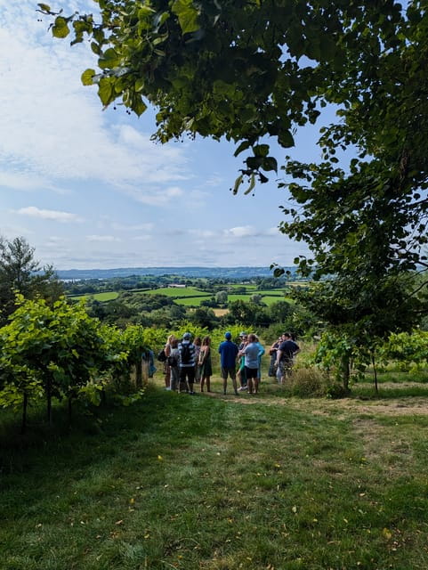 Bristol: Wine & Cheese in the Cheddar Valley - Who Will Love This Tour?