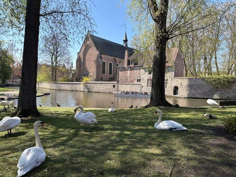 Bruges: highlights & hidden gems - private tour 2 hours - Who Would Love This Tour?