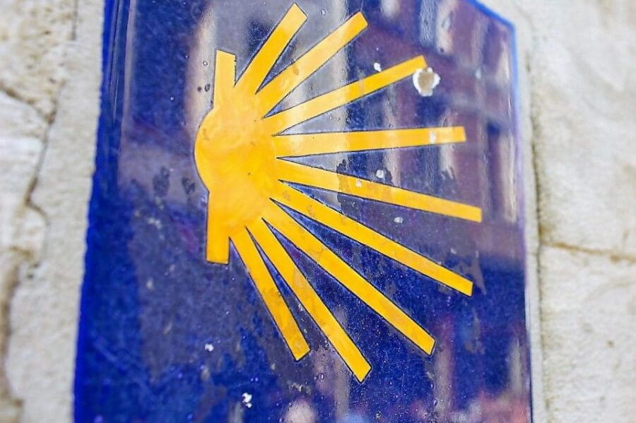 Brussels: Walking Tour with Belgian Lunch, Chocolate, & Beer - The Practical Side: Logistics and Value