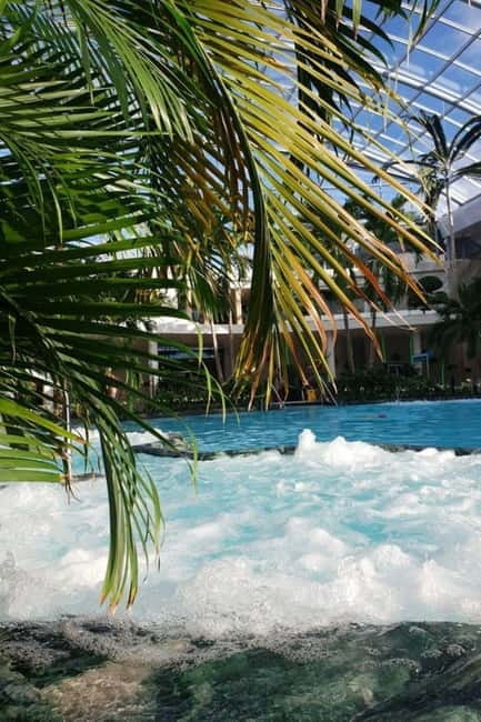 Bucharest: All Day Therme with Elysium Experience - Who Will Love This Experience?
