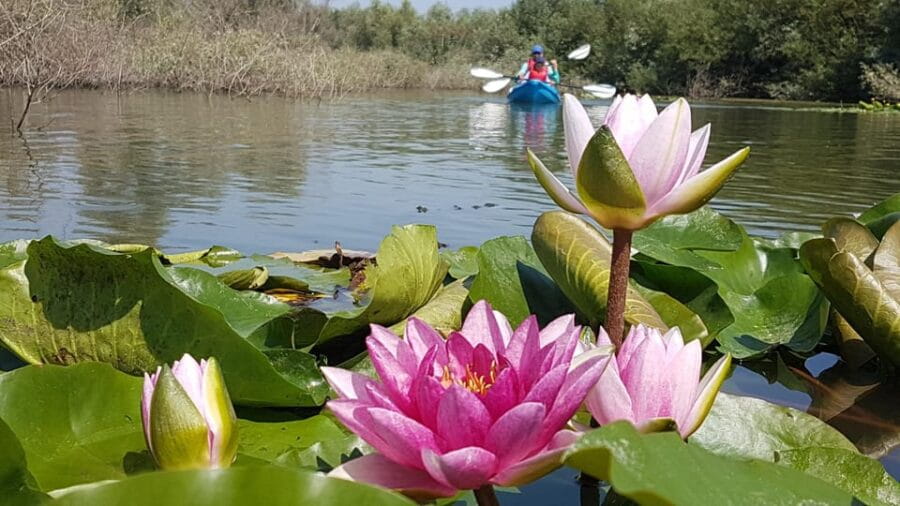 Bucharest: Arges River Kayaking Tour with Transfers - Who Will Love This Tour?