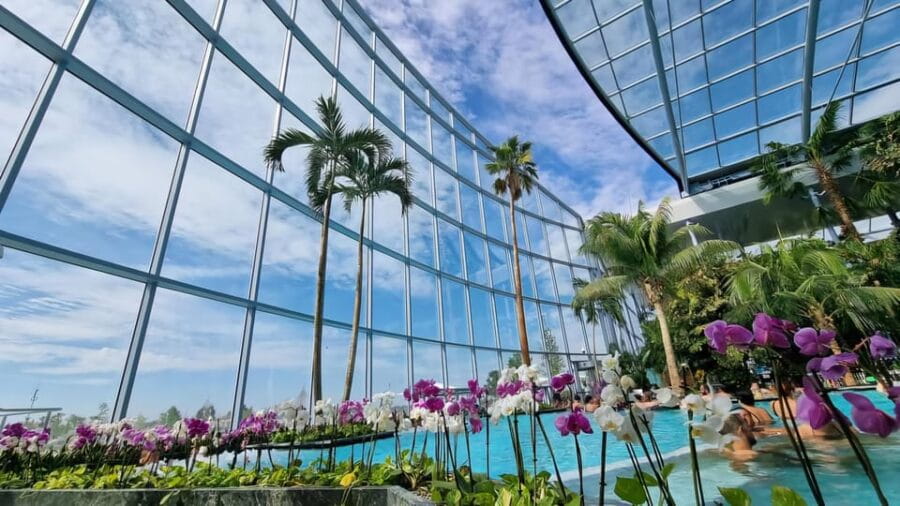 Bucharest: City Tour and Therme Spa Day Trip with Transfer - What You’ll Do at Therme Spa