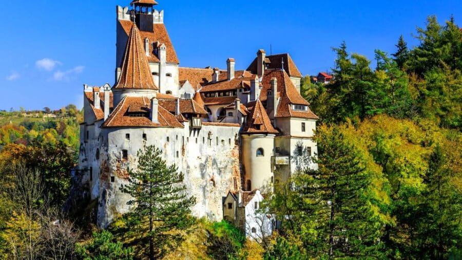 Bucharest: Pele Castle, Dracula Castle, and Braov Day Trip - Price and Value