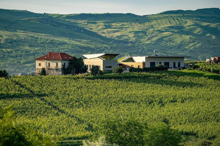 Bucharest: Salt Mine, Winery, & Dracula Grave Private Tour - Who Will Love This Tour?