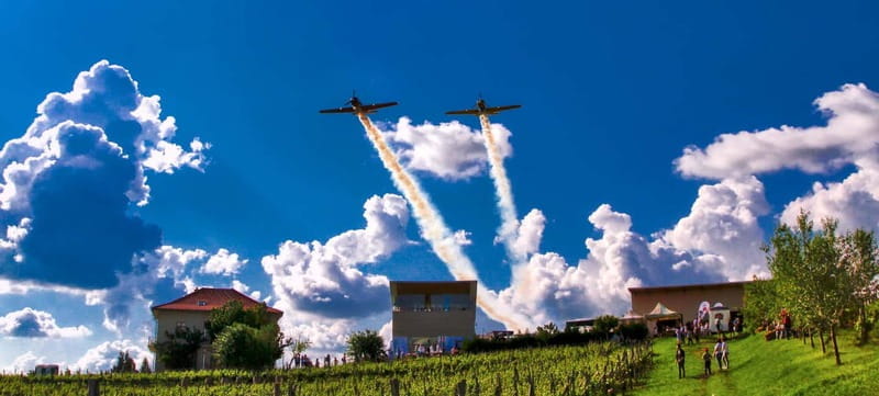 Bucharest: Taste the Magic of Wine in Romanias Tuscany - Price, Logistics, and Value