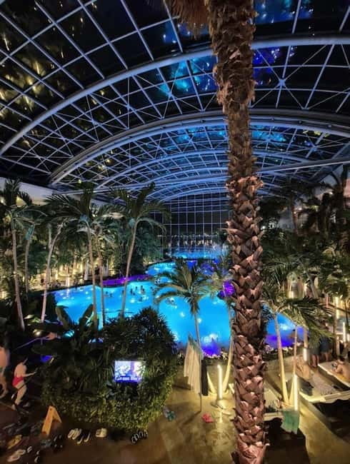 Bucharest: Therme Entry Ticket and Transfer - The Facilities in Detail: Pools, Saunas, and Gardens