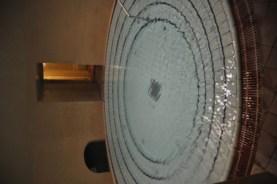 Budapest: Lukács Thermal Bath Full-Day Spa Ticket - Who Should Consider This Experience?