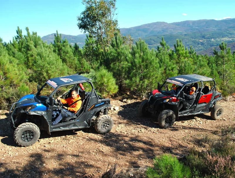 Buggy Family Experience - 60 to 120 minutes - Unique Experiences Along the Trail