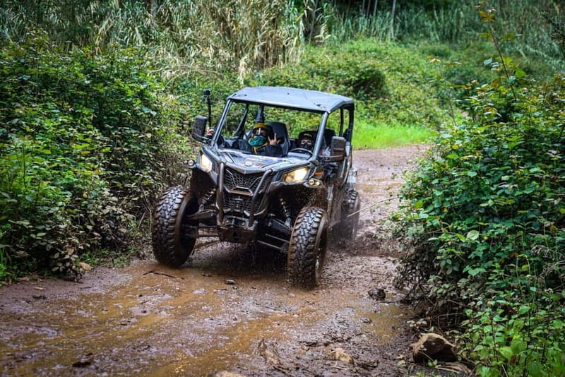 Buggy FunTrip Madeira - Off-Road Valley Adventure Tour - The Itinerary: What Makes Each Stop Special