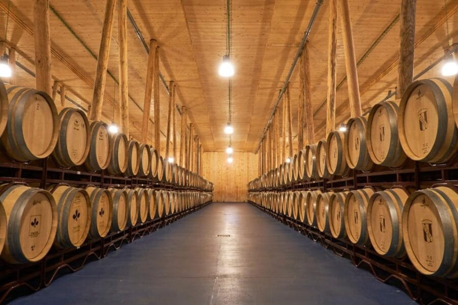 Burgos: Bela Winery - Villalba de Duero - Vineyard Walks and Sunset Charm