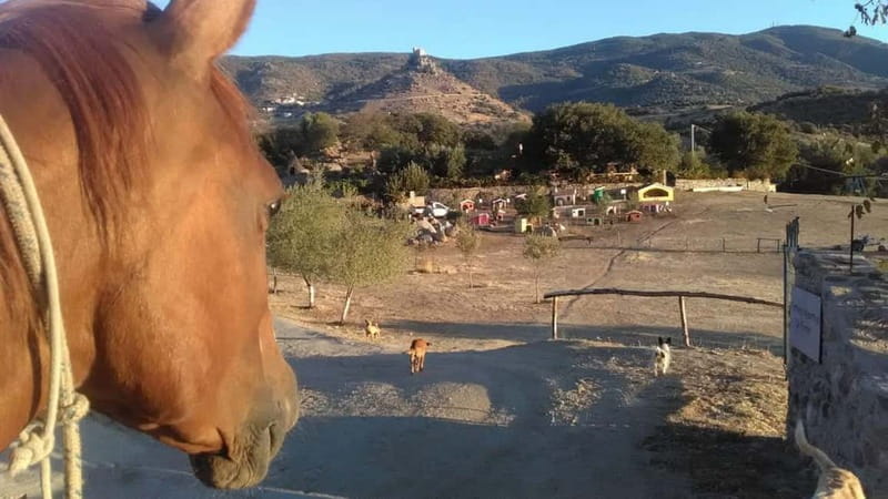 Burgos: visit to a farm with tasting - Exploring the Farm: A Step-by-Step Experience