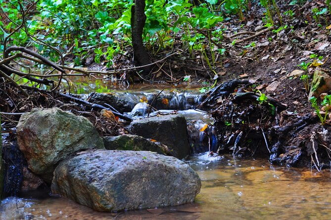 Buskett Woodlands and Dingli Cliffs Nature Walking Private Tour - Final Thoughts