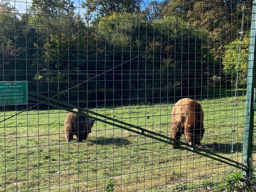 BV05-Private Hiking Tour and Bear Watching: Piatra Craiului - Exploring Zărnești Gorge and Mountain Villages