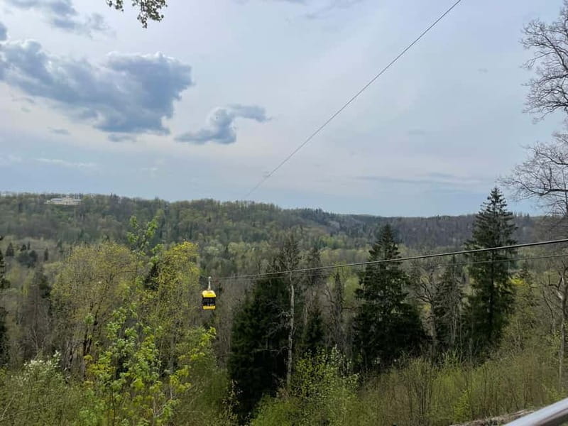 Cable Car to Latvian Manor & Wine Tasting - Price and Value: Is It Worth It?