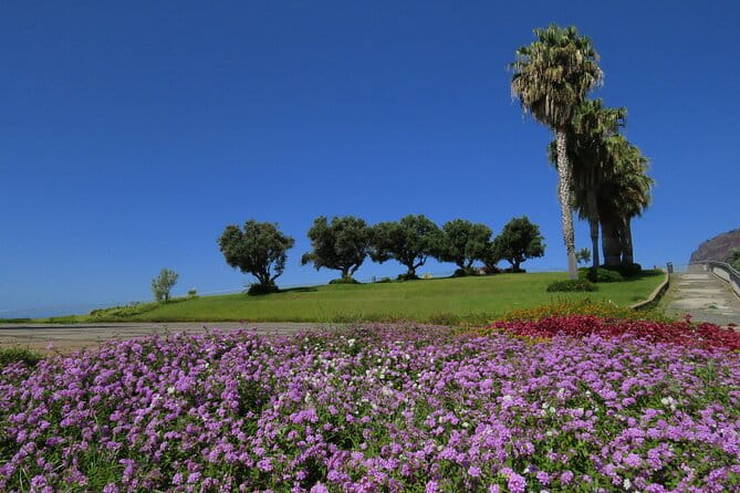 Cabo Girão Sea Cliff and Mountains 4WD Experience - Who Will Love This Tour?